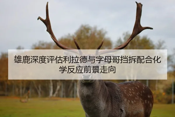 雄鹿深度评估利拉德与字母哥挡拆配合化学反应前景走向